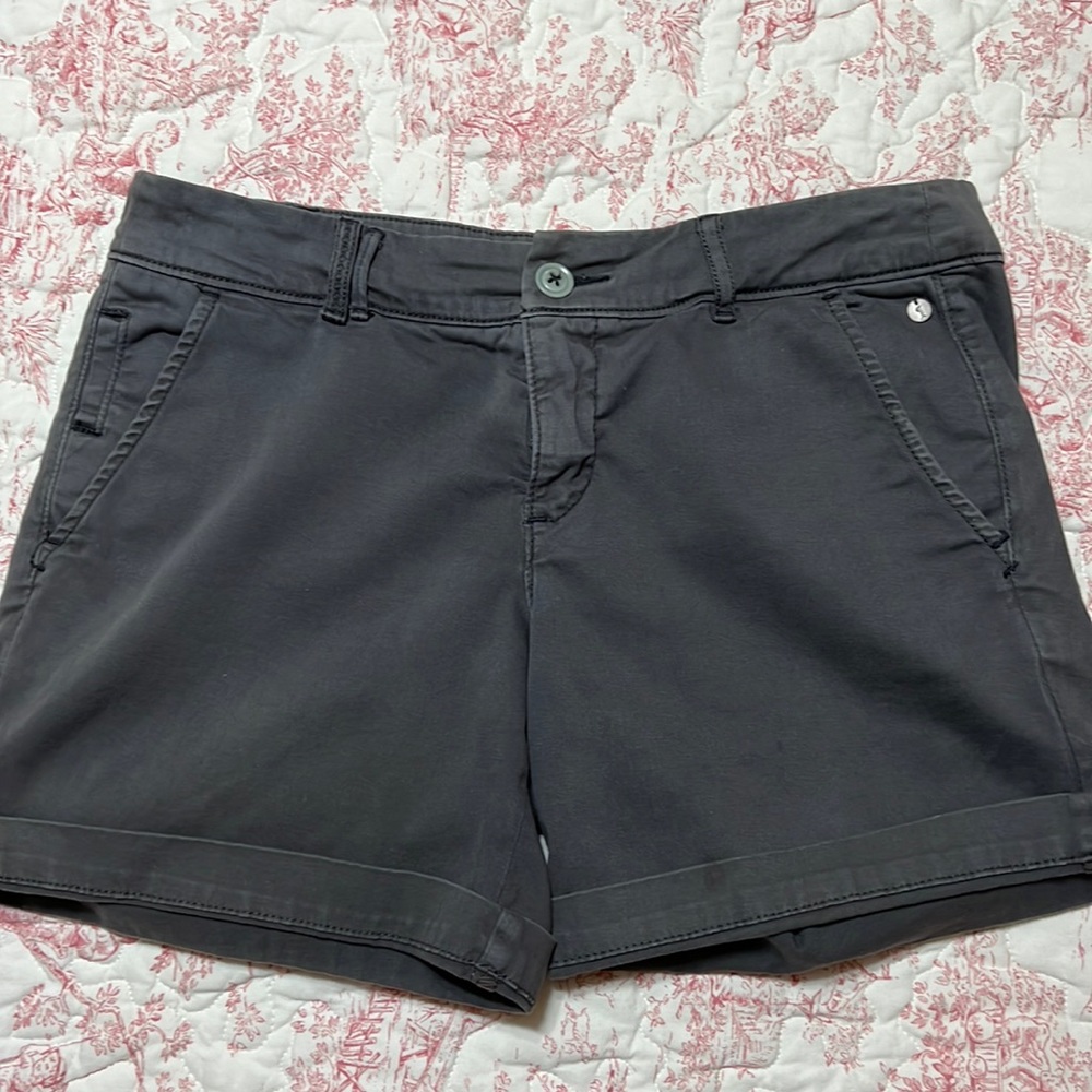 EUC ANTHRO Gray PILCRO Hyphen Shorts, Size 27